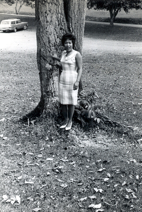 Aura and the tree