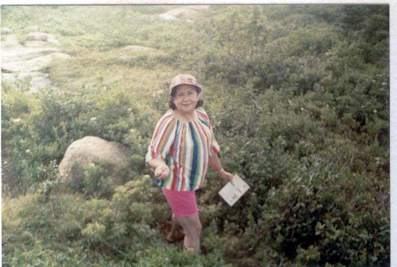 Blueberry Picking